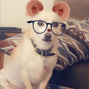 Meet your Posher, Chelsea